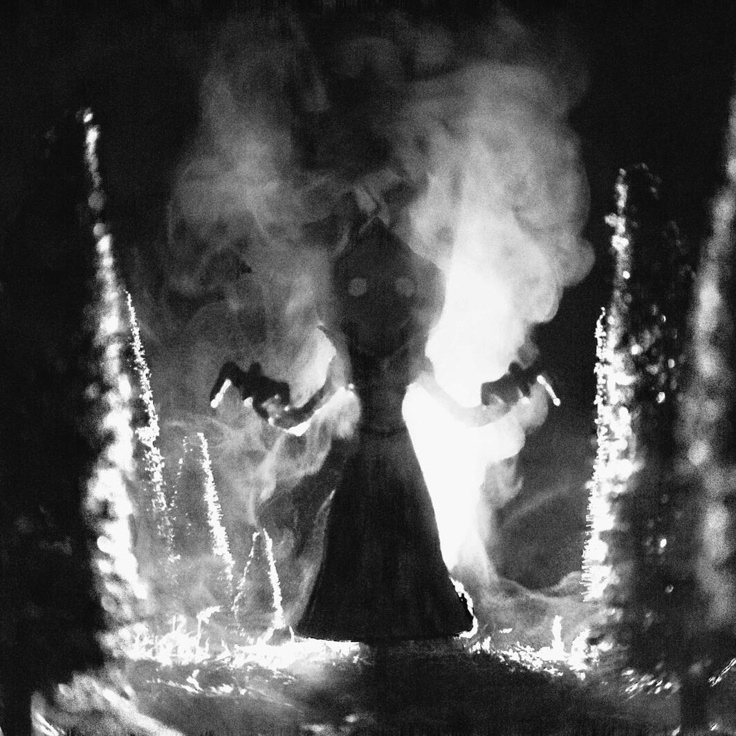 Cryptozoology Volume II